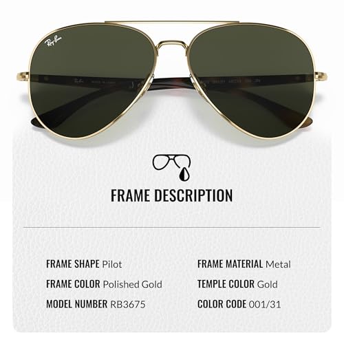 Ray-Ban RB3675 Pilot Shaped Sunglasses for Men & Women with Official RAYBAN Eyewear Kit3