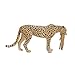 MOJO Cheetah (Female) with Cub Realistic International Wildlife Toy-Replica Hand Painted Figurine, Mixed (387167)