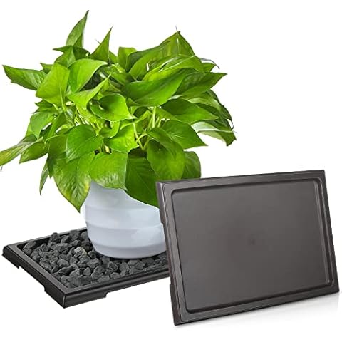 2 Pack Bonsai Humidity Tray 9 Inch Drip Tray Rectangular Plastic Plant Water Catcher Tray Plant Saucers for Indoors and Outdoors Cactus, Succulents, Bonsai Tree, Houseplants Drainage and Moisture Cover
