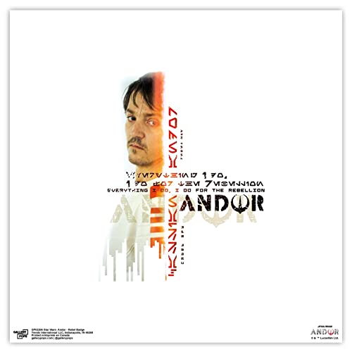 Poster Star Wars Andor habiller un mur vide décoration chambre affiche insigne rebelle 30 cm