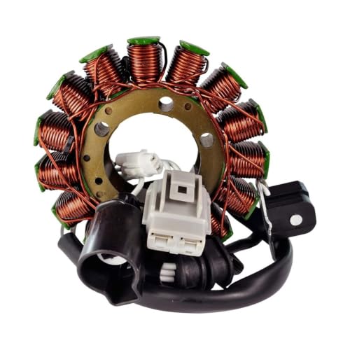 Stator de générateur 1XD-81410-00-00 alternative pour YXC700 Viking