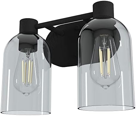 Hunter Fan Company 19779 Lochemeade Vanity Light, Natural Iron