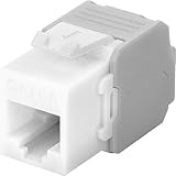 El tipo de producto es utp CABLEPELADO Keystone RJ45 hembra a TIA 568A/B Cat 6 UTP Blanco