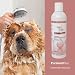 Purisent Plus Chlorhexidin Shampoo 250 ml für Hunde & Katzen: Sanfte Reinigung bei Hautproblemen, Mit Chlorhexidin gegen Keime & Malassezien, Ohne Duftstoffe, Für empfindliche Haut