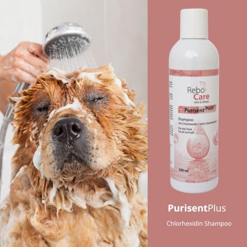 Purisent Plus Chlorhexidin Shampoo 250 ml für Hunde & Katzen: Sanfte Reinigung bei Hautproblemen, Mit Chlorhexidin gegen Keime & Malassezien, Ohne Duftstoffe, Für empfindliche Haut