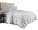 Hanna Kay Luxurious Queen Comforter Down Alternative Duvet Cover