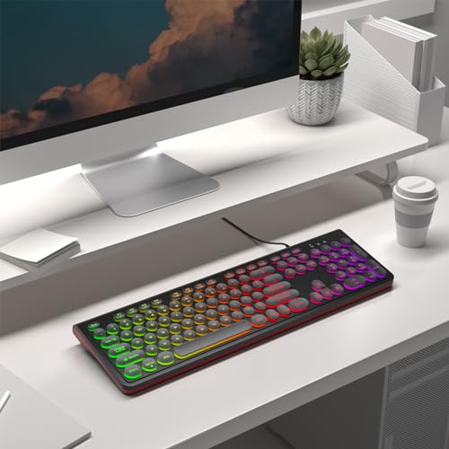 Dilter USB Wired Computer Keyboard with Backlit - Full Size Office Keyboard with Number Pad, Caps Indicators, Foldable Stands, for PC Laptop Desktop Windows 7 8 10 11 (Black) by Dilter - Image 4