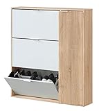 El zapatero Class es un fantástico mueble adaptable a cualquier estancia de tu hogar; Compuesto por 3 puertas abatibles y 5 estantes en la puerta derecha; Perfecto como armario auxiliar ya sea en las habitaciones, dormitorios, recibidores.