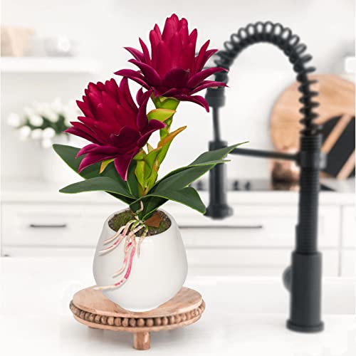Binfen Wine Red Potted Bromeliad Fake Plant With Vase For Home And Office Decor, Aesthetic Faux Tropical Flower Bonsai For Room Decoration, 13.4 Inches #TOP4