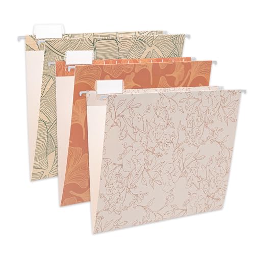 Beramon Pacote com 6 pastas suspensas, tamanho carta, pastas suspensas reforçadas com abas ajustávei