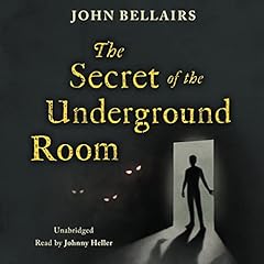 『The Secret of the Underground Room』のカバーアート