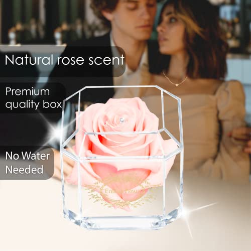 A 100% Real Rose That Lasts Years - Eternal Petals, Handmade in UK - Gold Solo with A Clear Crystal (Blush) - Image 3
