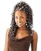 Shake N Go Freetress Bulk Braiding Hair - GOGO CURL (1B)