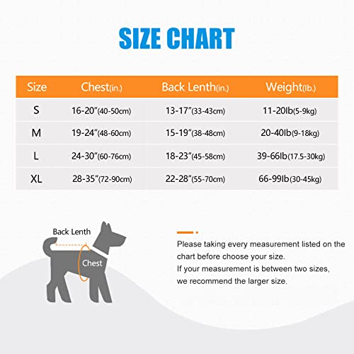 Eco-Clean Dog Life Jacket, Dog Life Vest For Swimming, Pet Safety Vest For Dogs, Dog Flotation Vest With Rescue Handle For Boating (S) #TOP1