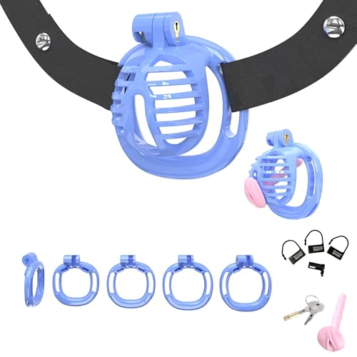 Resin-Embedded Training Cage with 4 Rings