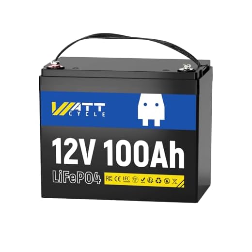 WattCycle 12V 100Ah LiFePO4 Lithium Battery - BCI Group 24, 15000 Cycles, Built-in 100A BMS, Low-Temperature Protection - Ideal for RVs, Golf Cart, Home Energy Storage, Boats and Marine Applications