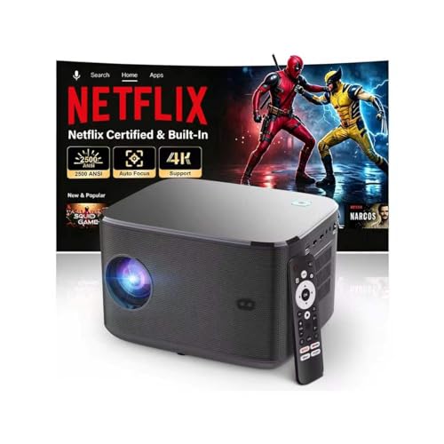 【Netflix Licensed - 5&ldquo;LCD - 4k -2200ANSI】Smart Project