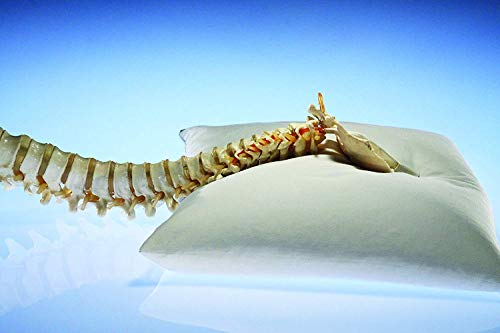 image for Sobakawa Traditional Buckwheat Pillow Organic Cotton with Natural Tech