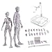 Action Figures Body Kun DX & Body-Chan DX PVC Figure Model Drawing for SHF S H Figuarts (Female+Male) with Box