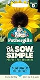 Fothergill's Oh Sow Simple, Sunflower Pollen Free Flower Seeds, Sow: Mar-May, Yellow