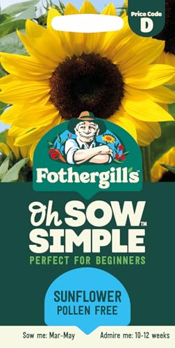 Fothergill's Oh Sow Simple, Sunflower Pollen Free Flower Seeds, Sow: Mar-May, Yellow