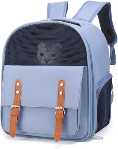 LumoLight�L �o�b�N�p�b�N �y�b�g�L�����[ �����b�N�T�b�N �L�����[�L���b�g ���^���p �� �h�b�O�g���x���o�b�N �L �|�P�b�g�t�� �y�b�g�����b�N�o�b�O �����^�� �ʋC�� (�u���[)