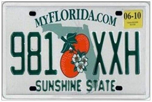 Biopracess Florida Jumbo Old Style Licence Plate United States America License plate sign 6x12 inches