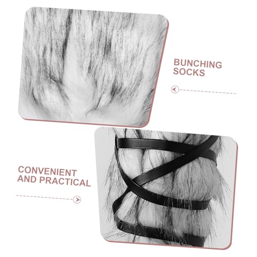 Photo complémentaire