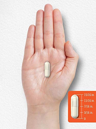 Carlyle Prebiotic, Probiotic & Postbiotic | 25 Billion Cfu | 60 Powder Pills | Men And Women's Digestive Health | Vegetarian And Non-Gmo Supplement #TOP6