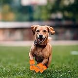 4 Stück Hundeschuhe Pfotenschutz Outdoor, Atmungsaktive Hundeschuhe Für Sommer, Mesh Hunde Schuhe Schutz Vor Verletzungen Und Hitze, Anti-Rutsch Verstellbarem Hundeschuhe Ideal Für Kleine Hunde