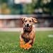 4 Stück Hundeschuhe Pfotenschutz Outdoor, Atmungsaktive Hundeschuhe Für Sommer, Mesh Hunde Schuhe Schutz Vor Verletzungen Und Hitze, Anti-Rutsch Verstellbarem Hundeschuhe Ideal Für Kleine Hunde