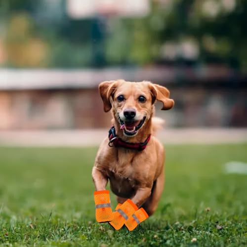 4 Stück Hundeschuhe Pfotenschutz Outdoor, Atmungsaktive Hundeschuhe Für Sommer, Mesh Hunde Schuhe Schutz Vor Verletzungen Und Hitze, Anti-Rutsch Verstellbarem Hundeschuhe Ideal Für Kleine Hunde