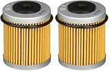 HIFLO FILTRO HF157 Premium Oil Filter (Pack of 2)