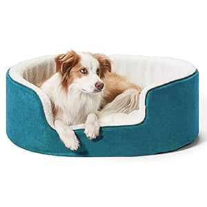 Petslover Warm Fleece Winter Beds Round Shape Reversible Ultra Soft Ethnic Designer (Export Quality) Bed with Cushion Pillow for Dog/Cat (Sky Blue, Small)