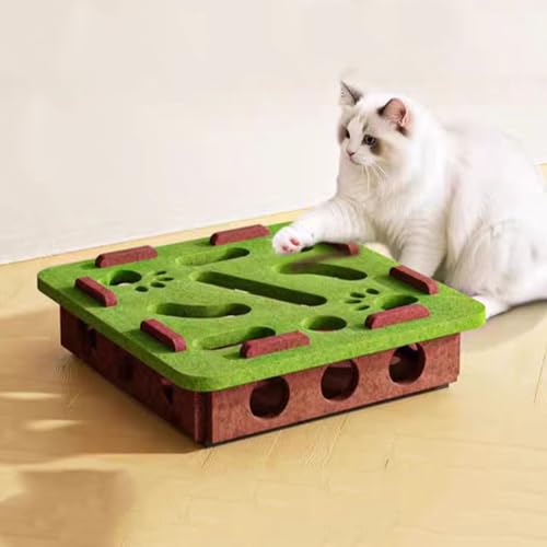 Kaseremy Katze interaktive Puzzle Spielzeug, Filz Labyrinth Katzenspielzeug Selbstbeschäftigung Ball mit Glocken für Indoor-Katzen Kätzchen Erwachsene (Grüner Platz) Kaseremy Katze interaktive Puzzle Spielzeug, Filz Labyrinth Katzenspielzeug Selbstbeschäftigung Ball mit Glocken für Indoor-Katzen Kätzchen Erwachsene (Grüner Platz)