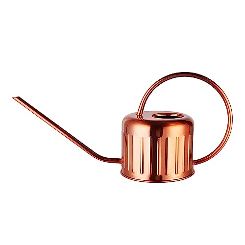 BLstyle 34oz/1L Stainless Steel Watering Can - Indoor/Outdoor Plant Watering Can with Long Spout, Rust-Proof for Succulents, Houseplants, Garden - Modern Minimalist Design (Copper Color)