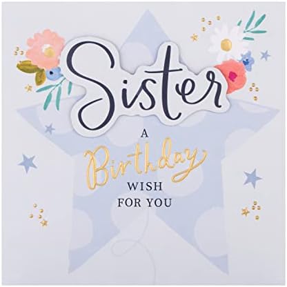 Hallmark Large Birthday Card for Sister - Cute 'Scruffles' 3D Pop Out Design