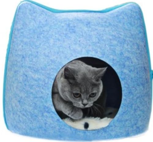 LnEX Lxbh h[^ ʋCQ xbh lGʗp  v L^ ybgQ Ȃ̕~t 薰 nEX p LbgnEX 􂦂 lRxbh lR  LQ ETM Lp ybgpi (C