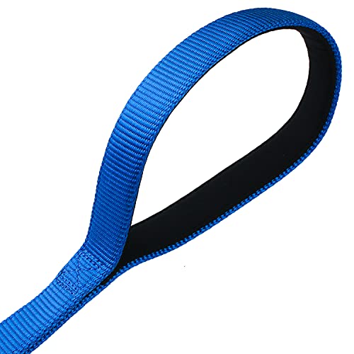 Cyclpet Nylon Short Dog Leash With Padded Handle 24 Inches Large Dog Lead. (24 Inches, Classic Blue) #TOP1