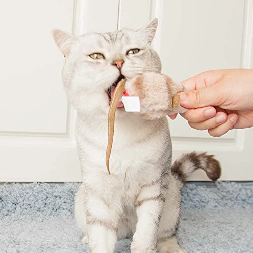 Gigwi Chirpy Cat Mouse Toy Interactive， Melody Chaser Cat Play Squeaking Mouse，Mouse Sound Cat Toy For Boredom #TOP3