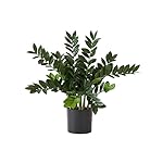 Nearly Natural 28in. Artificial Zamioculcas Plant with Decorative Planter