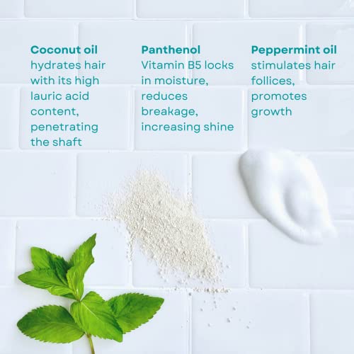Cocofomm Foaming Shampoo Powder - Travel Shampoo Concentrate - Just Add Water - Up To 40 Washes - Leakproof, Lightweight - Camping Shampoo - For Outdoors, Post Workouts - Natural, Plastic Free, Biodegradable - Normal Dry Hair - Cocofomm #TOP4