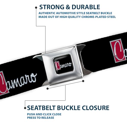 Image of Buckle-Down Men's Seatbelt Belt