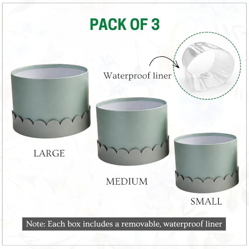 Image of Oasis Pack of 3 Premium Round Gift & Flower Hamper Boxes With Scalloped Lid | Classic Bouquet Box for Flower Arrangements & Gift Hampers | Decorative Gift Packaging Box With Waterproof Liner - Baby Blue & Grey
