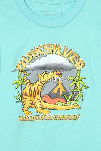 Quiksilver Boy's Barking Tiger Short Sleeve Tee Shirt2