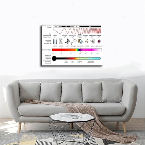 Spectre électromagnétique affiche WCYB toile éducative 30x45 - 4