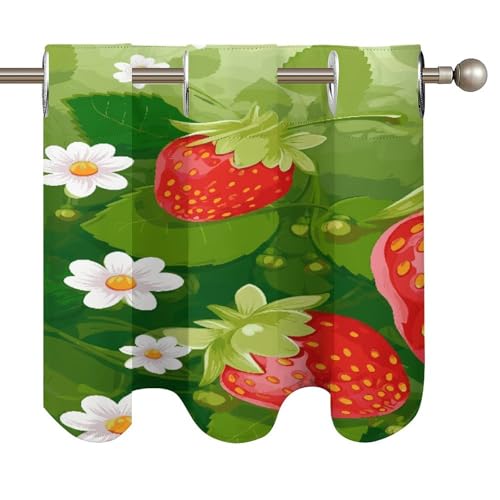 Cortinas opacas de fresas, cenefa de arte moderno de 52 x 18.1 pulgadas para dormitorio 6