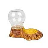 La base de la botella es relativamente poco profunda para los reptiles, y ya no tienes que preocuparte por caer cuando tu mascota está bebiendo.