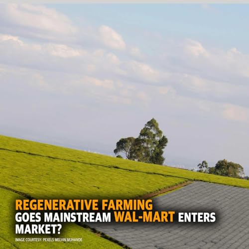 Free Farm Friday MCS 2249: Regenerative Farming Goes Mainstream Podcast Por  arte de portada