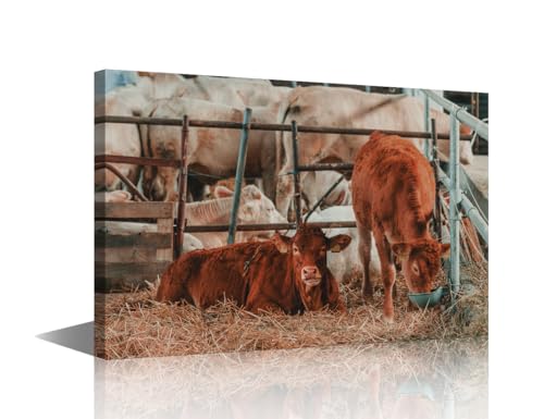 TISHIRON - Livestock Animal Portrait Farmhouse Highland Cow Pictures Wall Decor Limousin Cow on Cattle Dairy Farm Canvas Print Bathroom Painting Animal Artwork Kitchen Living Room Nursery Home 1Pcs(12"Wx18"H)